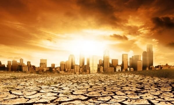 Open-Access Online Training: Global Perspectives on Corporate Climate Litigation