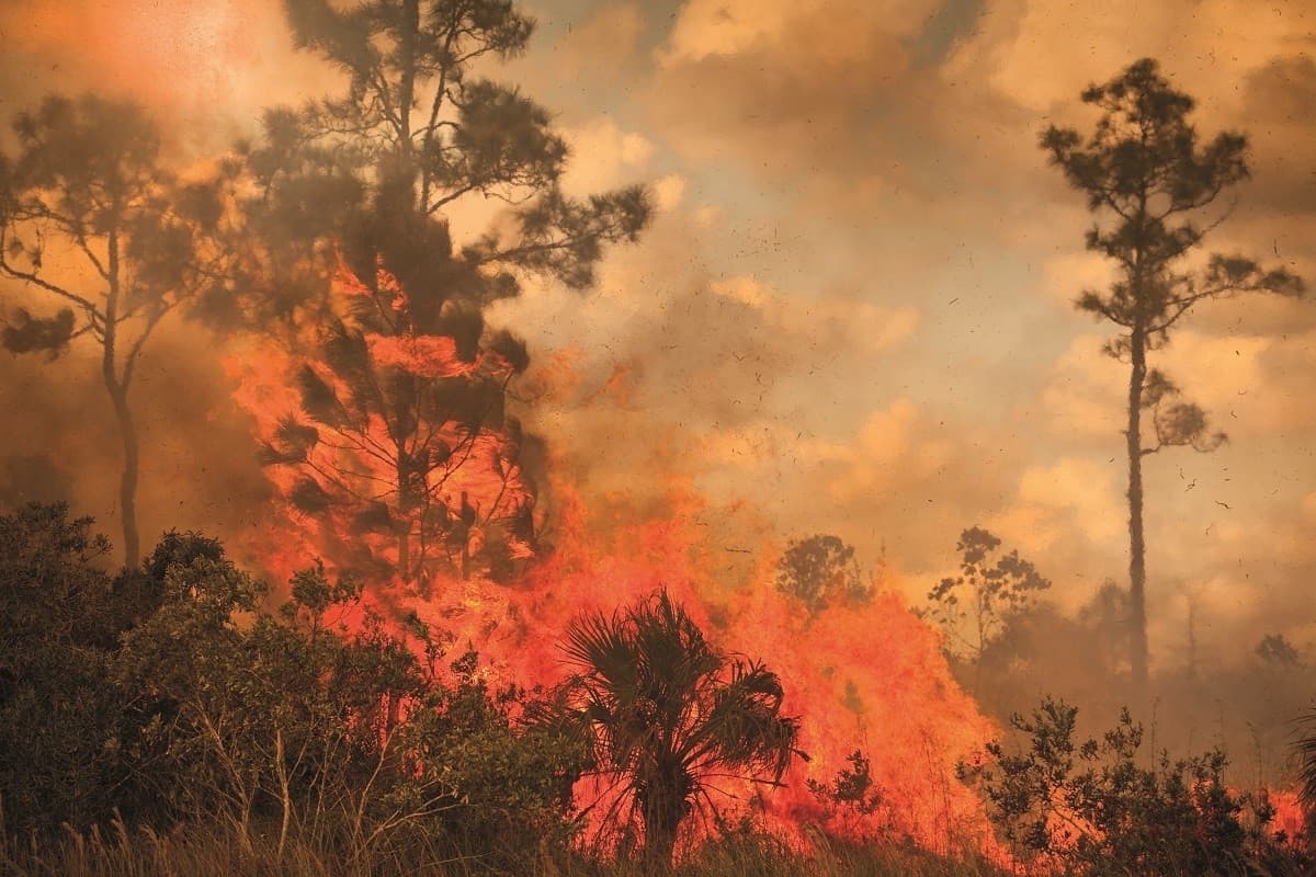 Intergenerational Equity and Climate Protection: The Role of Brazilian Supreme Court Jurisprudence